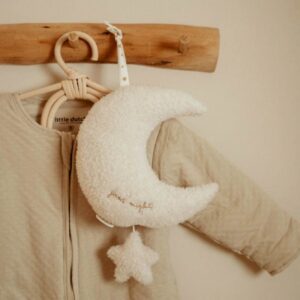 תיבת נגינה ירח Little Dutch